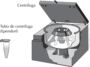 centrifugacion: centrifuga y tubo Eppendorf