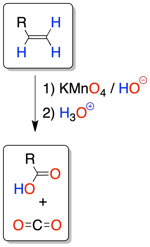 reacciones de alquenos rotura oxidativa con permanganato