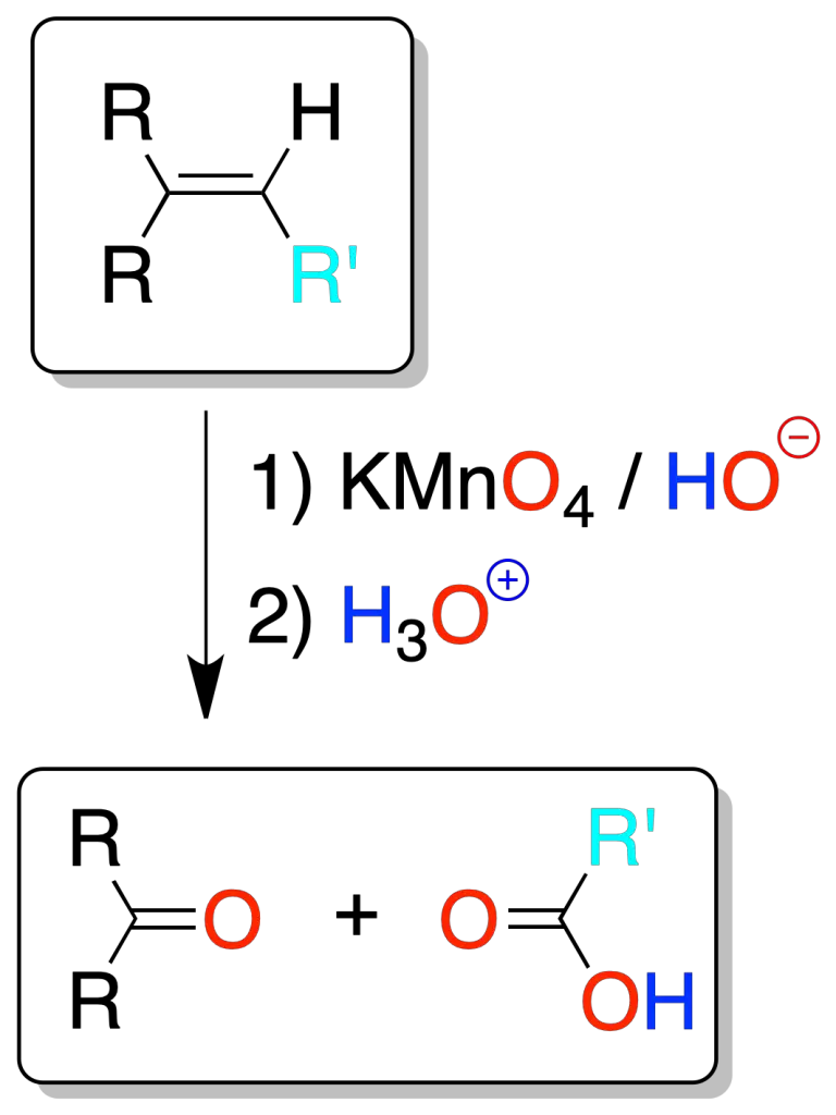 reacciones de alquenos rotura oxidativa con permanganato