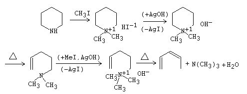 Degradación de Hofmann o etilación Exhaustiva de Hofmann