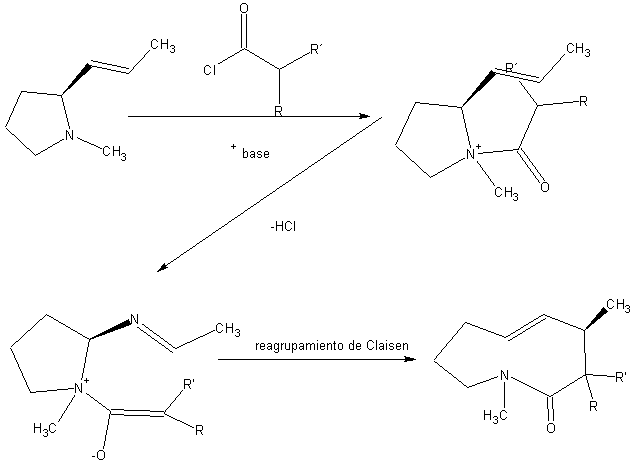 Aza-Claisen rearrangement