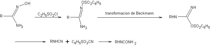 Reagrupamiento de Tiemann