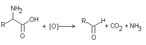 Akabori amino-acid reaction