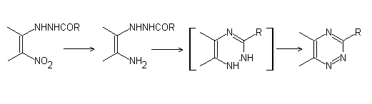Bischler triazine synthesis