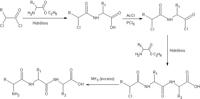 Fischer peptide synthesis