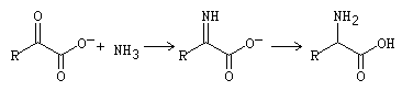 Knoop-Oesterlin amino acid synthesis
