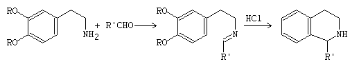 Pictet-Spengler isoquinoline synthesis