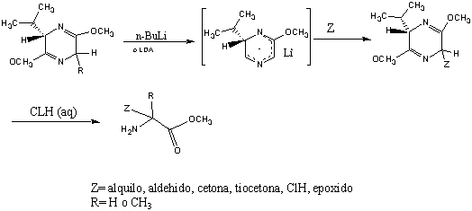 Schöllkopf bis-lactim amino acid synthesis