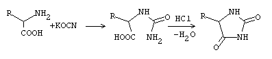 Urech hydantoin synthesis