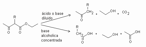 Síntesis de Ester Acetoacético