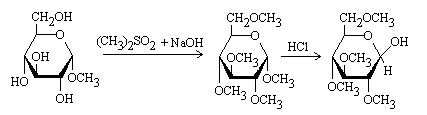 Haworth methylation