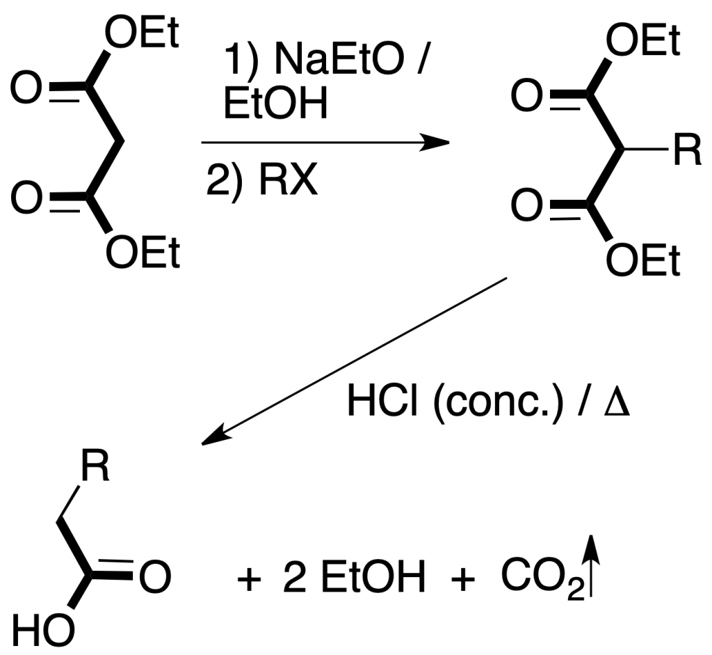sintesis organica sistesis malonica