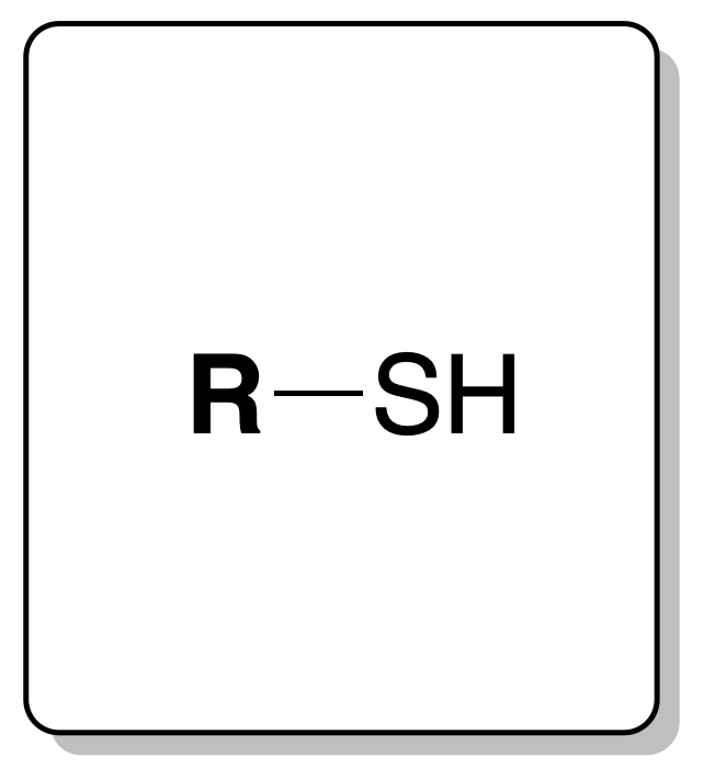 thiol mercaptan sulfhydryl