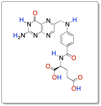 acido pteroglutámico acido folico