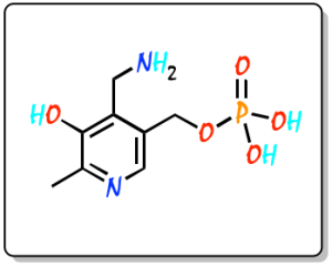 5-fosfato de piridoxamina PMP ZMJGSOSNSPKHNH-UHFFFAOYSA-N