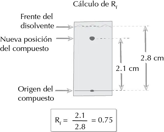 calculo Rf cromatografia ccf