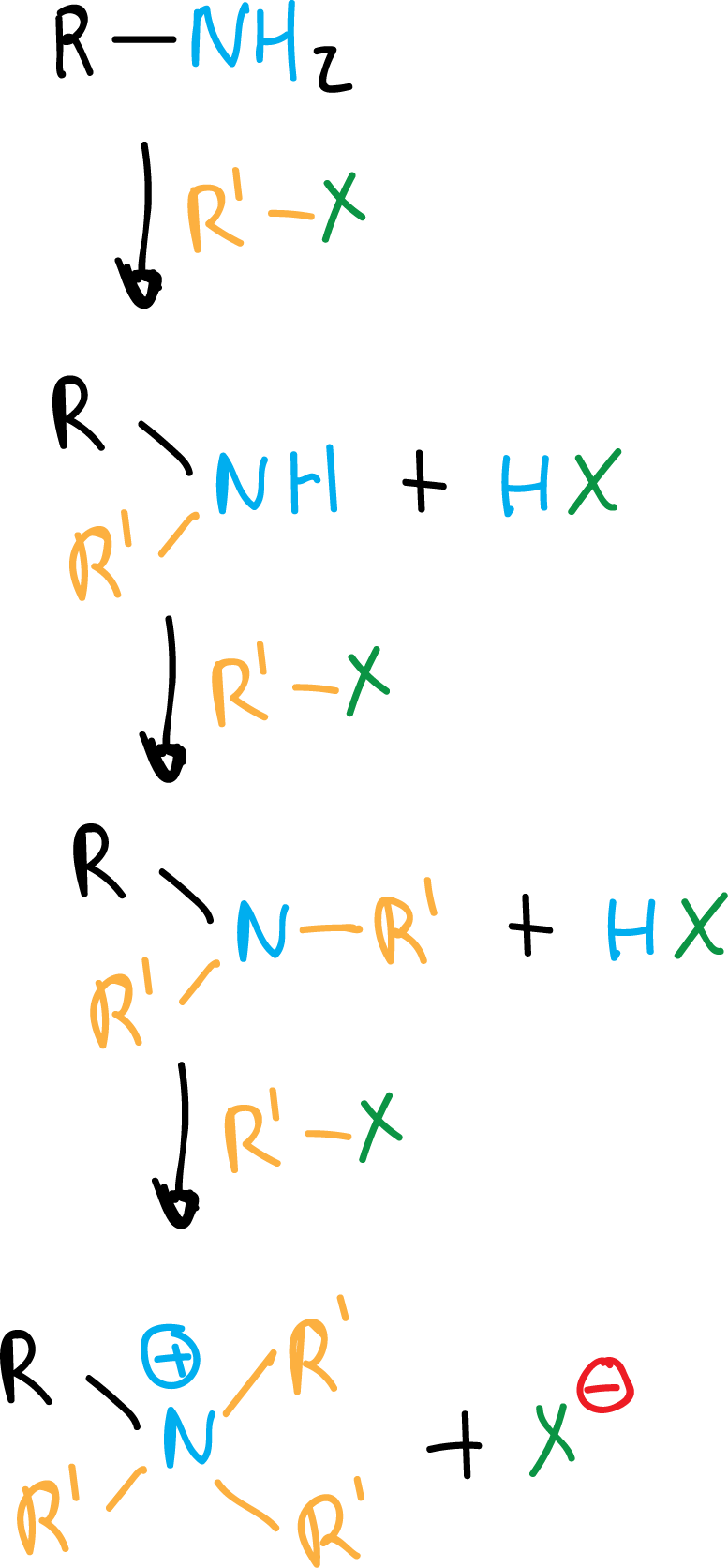 Reacciones de Aminas Alifáticas alquilacion