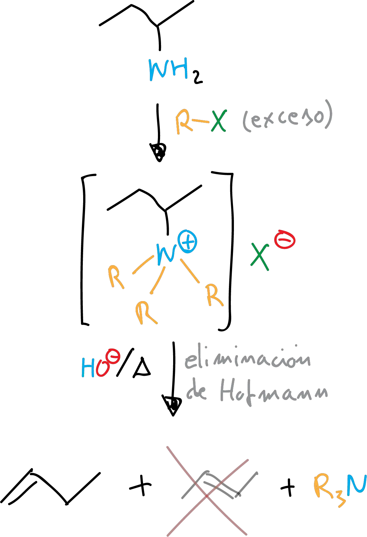 Reacciones de Aminas Alifáticas eliminacion de Hofmann