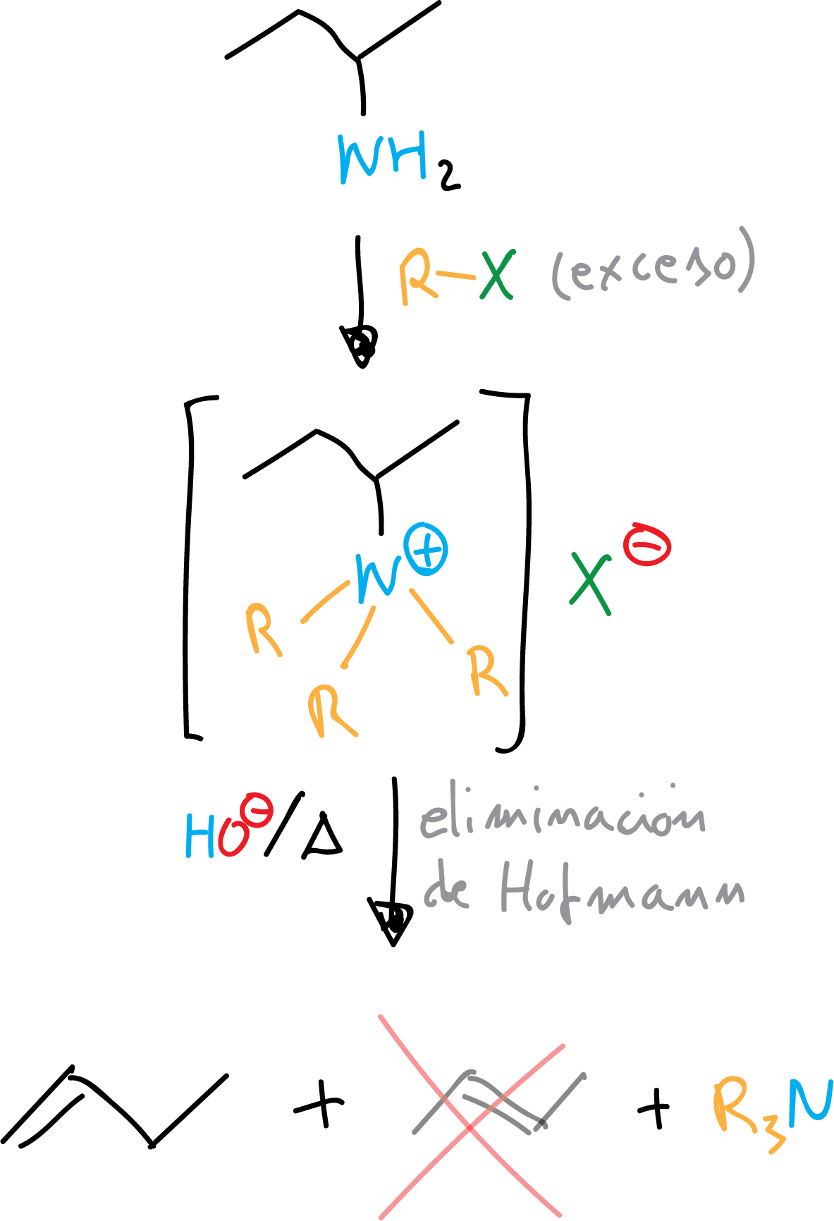 Reacciones de Aminas Alifáticas eliminacion de Hofmann