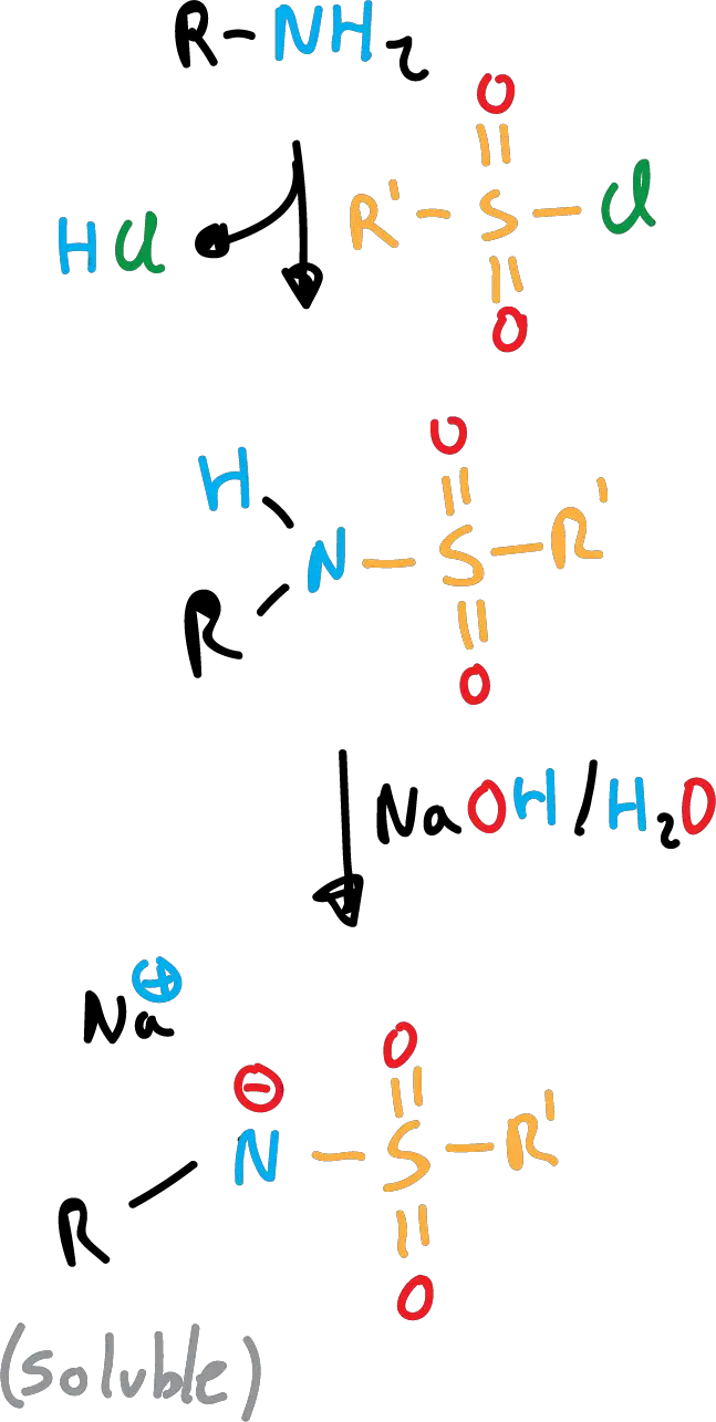 Reacciones de Aminas Alifáticas conversion a sulfonamidas