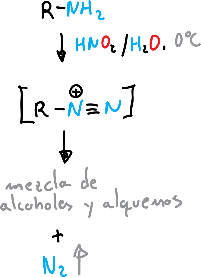 Reacciones de Aminas Alifáticas reacciones con acido nitroso sales de diazonio