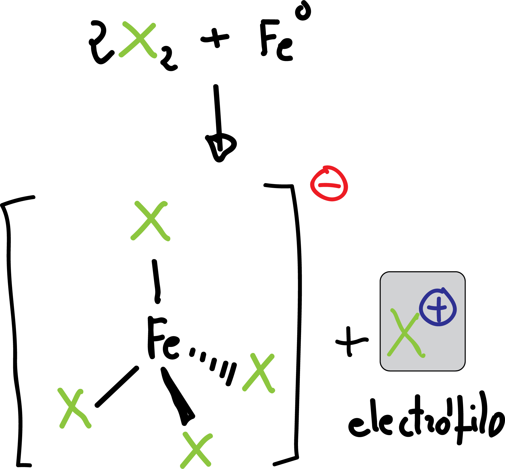 generacion de electrofilo en la reaccion de halogenacion de benceno