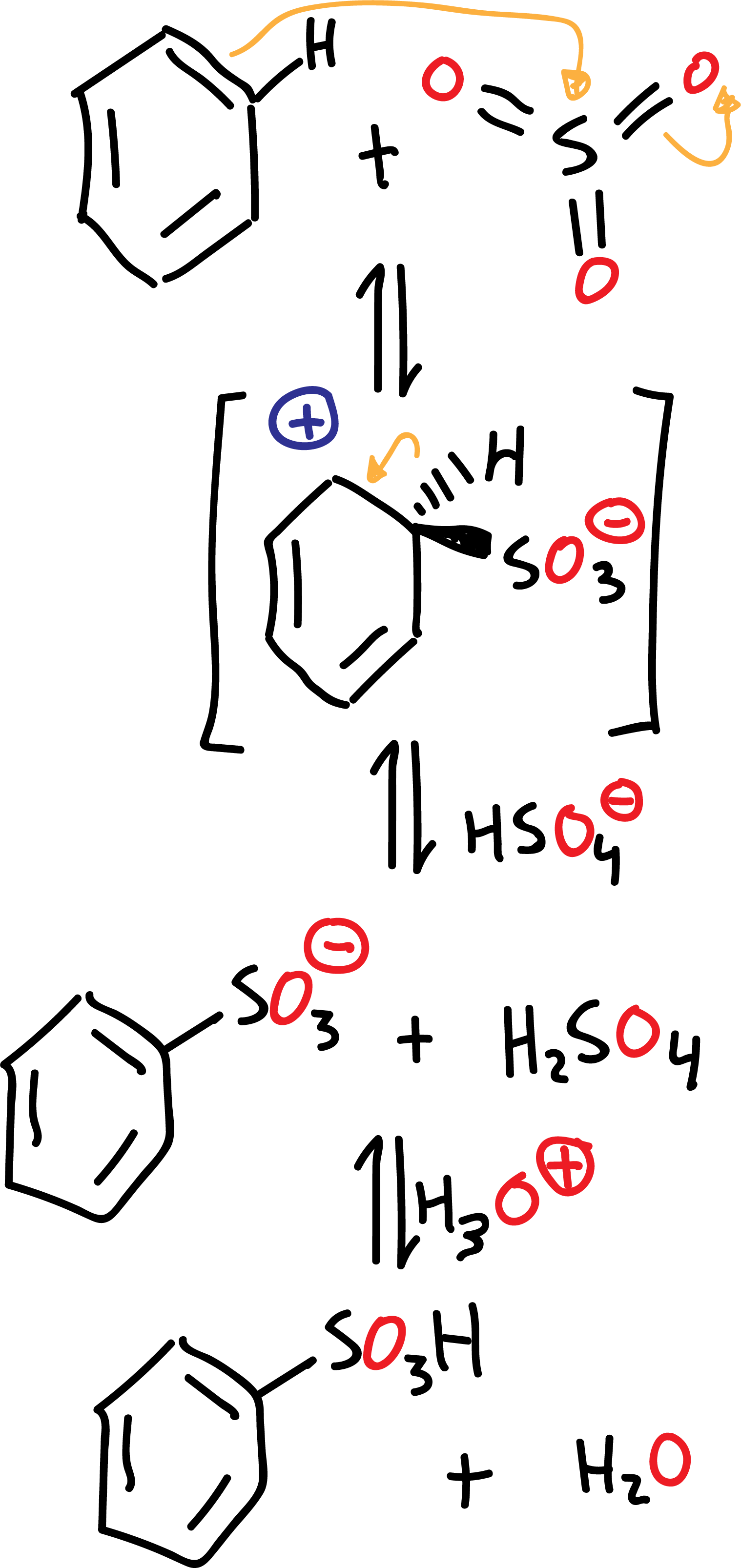 mecanismo reacción sulfonación benceno sustitucion electrofilica aromatica SEAr