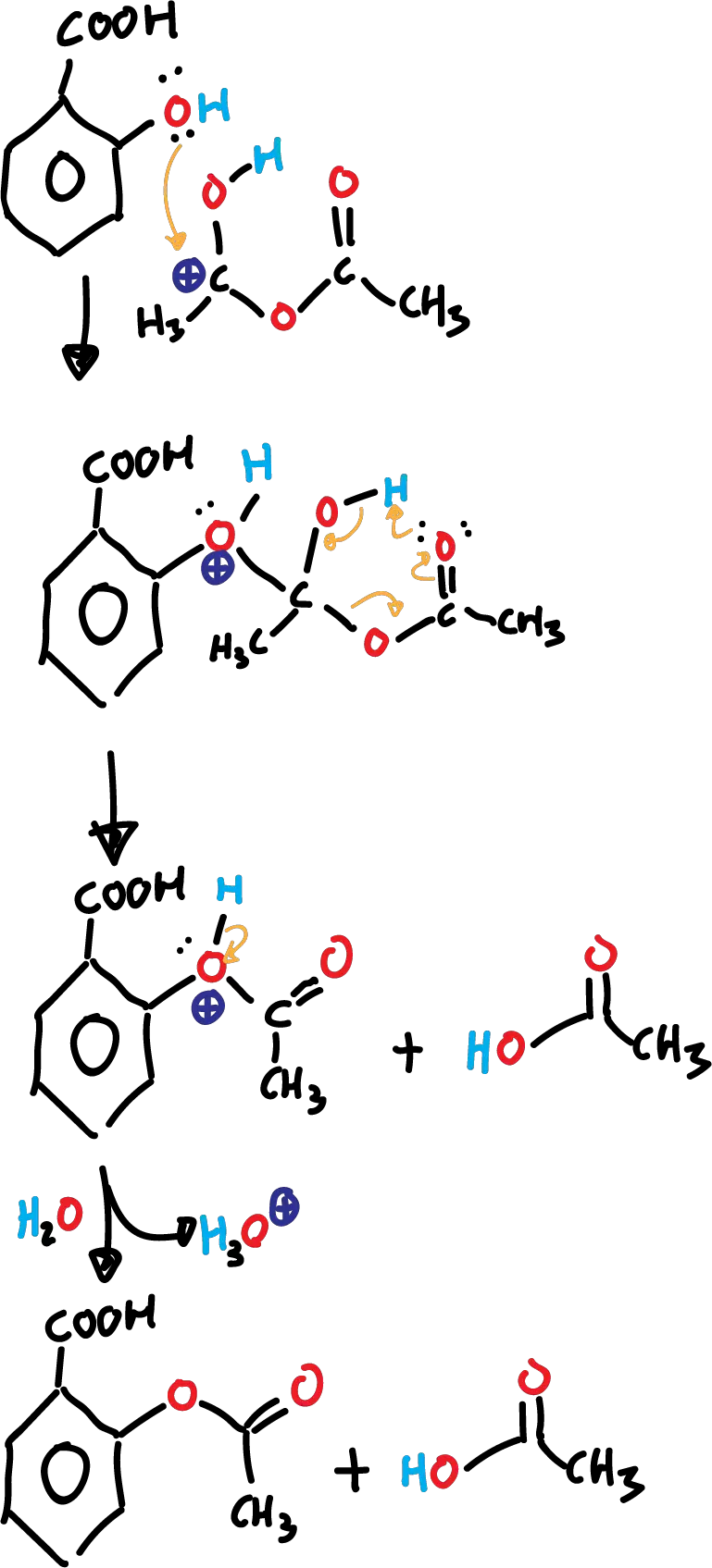 synthesis of aspirin mechanism of reaction acido salicilico acido acetico acido acetil salicilico