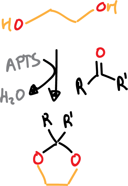 ejemplo grupo protector etilenglicol acetales ciclicos
