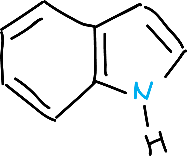 heterociclo indol