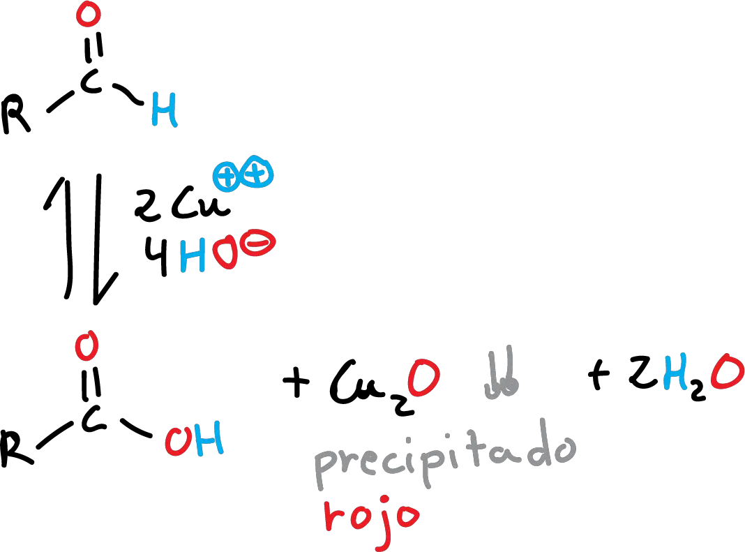 prueba de Fehling ensayo reactivo licor precipitado rojo glucosa fructosa sacarosa grupo reductor sal seignette tartrato mixto de potasio y sodio