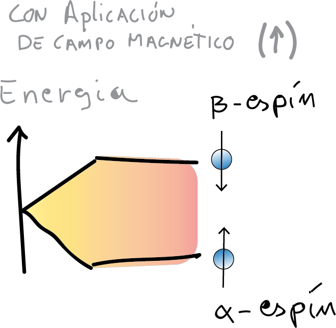RMN átomos con espin (alfa y beta) nuclear desordenados con aplicacion de campo magnetico