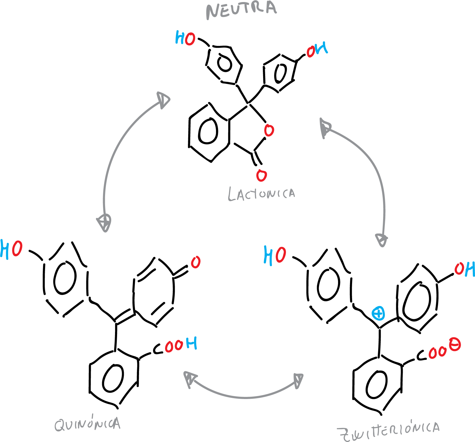 fenolftaleina neutra forma lactonica quinonica zwitterionica