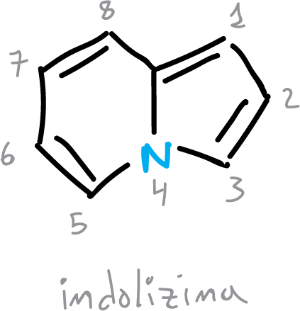 compuestos heterociclicos aromaticos indolizina numeracion