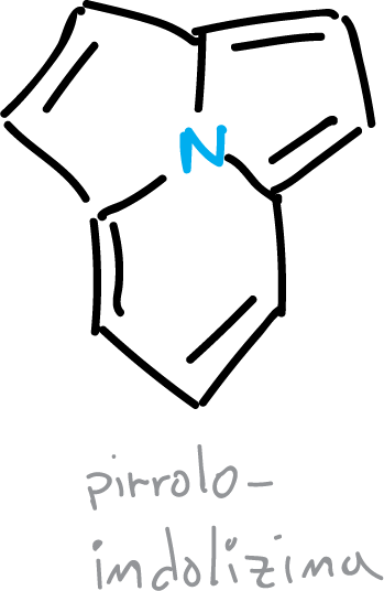 compuestos heterociclicos aromaticos pirrolo indolizina