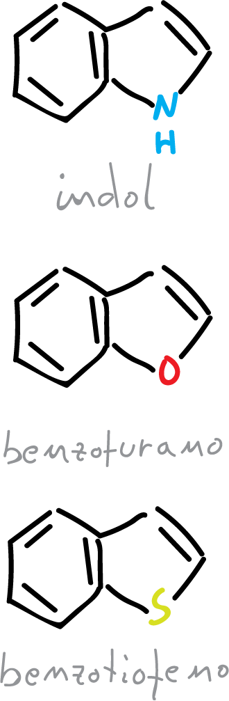 heterociclos condensados de 5 miembros indol benzofurano benzotiofeno