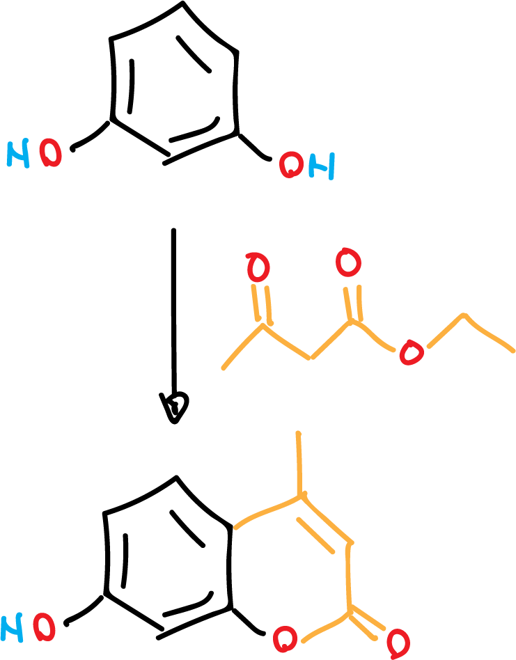 sintesis compuesto fluorescente 7-hidroxi-4-metil-cumarina acetoacetato de etilo resorcinol