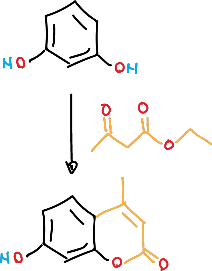 sintesis compuesto fluorescente 7-hidroxi-4-metil-cumarina acetoacetato de etilo resorcinol