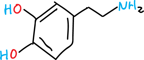 dopamina VYFYYTLLBUKUHU-UHFFFAOYSA-N