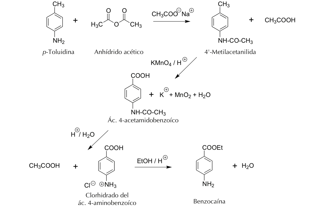 síntesis de la benzocaína: preparación en múltiples pasos de un anestésico