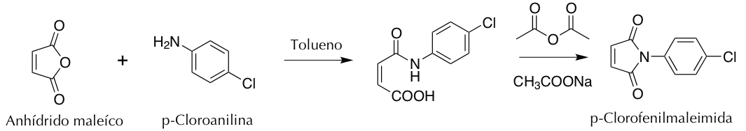 Preparación de N-(p-clorofenil)-maleimida