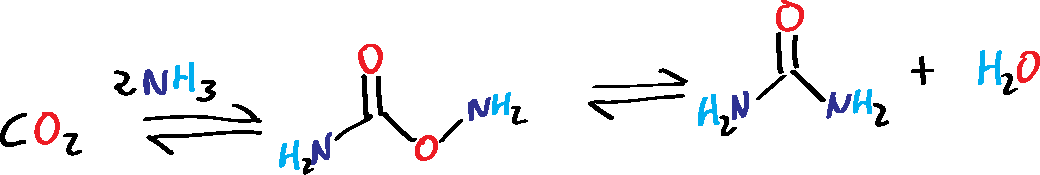 Síntesis de urea de Bosch-Meiser - esquema general de reacción - carbamato de amonio [NH4]⊕[H2NCO2]⊖ dióxido de carbono amoníaco CO2 NH3
