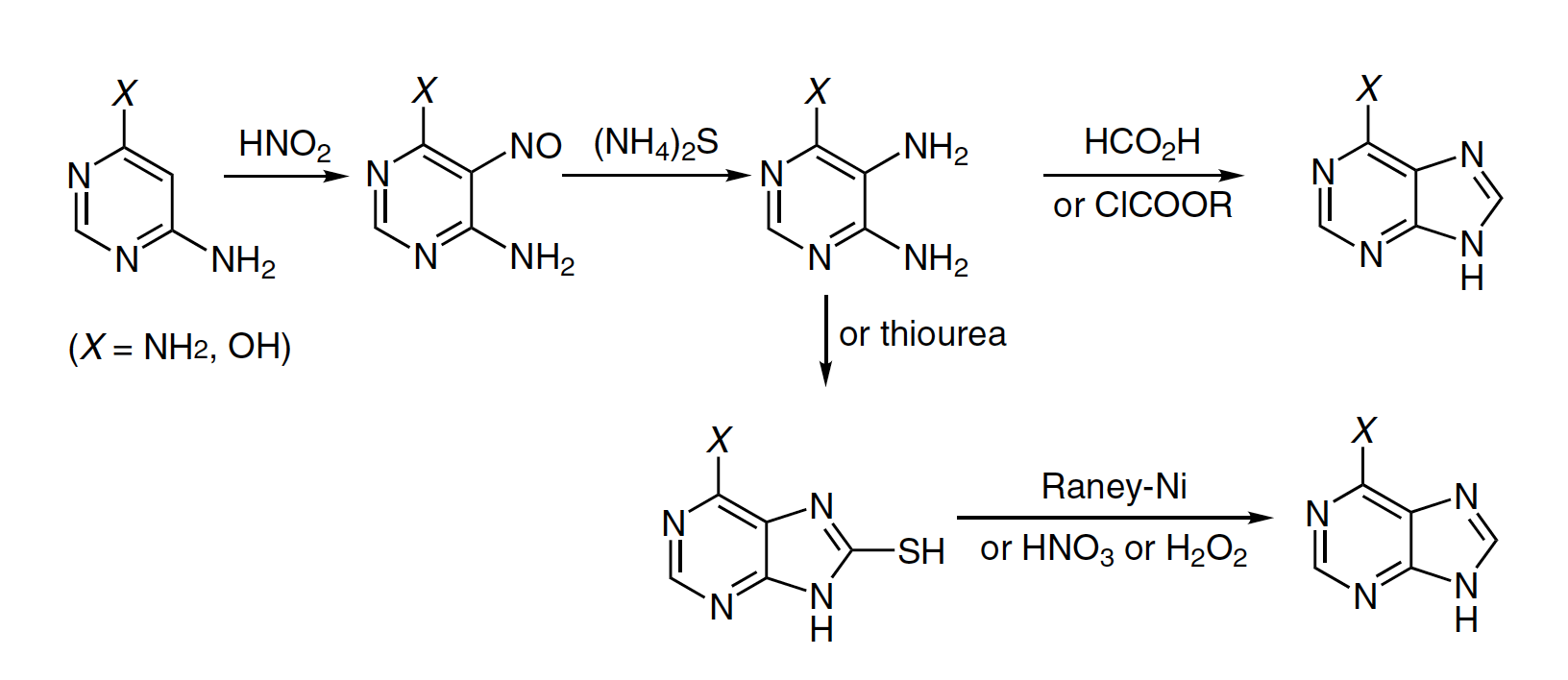 Síntesis de purinas de Traube - esquema general de reacción - reacción de Traube