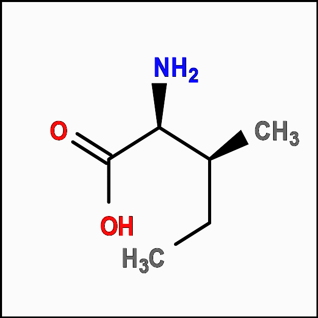 leucina Leu